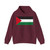 Flag of Palestine darker colours (Palestine) Hoodie