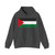 Flag of Palestine darker colours (Palestine) Hoodie