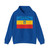 Flag of the Moldavian Democratic Republic (Moldova) Hoodie