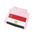 Flag of the President of Egypt (Egypt) Hoodie