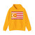 Flag of Turkestan (Kazakhstan) Hoodie