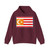 Flag of Turkestan (Kazakhstan) Hoodie