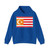 Flag of Turkestan (Kazakhstan) Hoodie