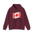 Color: Maroon | Position: front | Image: 1