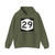 NY-29 (New York) (Road Sign) Hoodie
