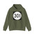 PR tertiary 301 (Puerto Rico) (Road Sign) Hoodie