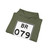 BR-079 jct (Brazil) (Road Sign) Hoodie