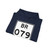 BR-079 jct (Brazil) (Road Sign) Hoodie