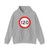 Chile road sign RR-1 120 (Chile) (Road Sign) Hoodie