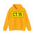 CT 15 VNM (Vietnam) (Road Sign) Hoodie