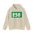 E58-SVK (Slovakia) (Road Sign) Hoodie