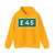 E45 Sverige (Sweden) (Road Sign) Hoodie