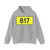 DW817-PL (Poland) (Road Sign) Hoodie