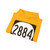 Color: Gold | Position: other | Image: 4