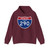 I-290 IL 1961 (Illinois) (Road Sign) Hoodie