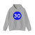 Jordan road sign M٧ 30 (Jordan) (Road Sign) Hoodie