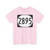 Elongated circle 2895 (United States) (Road Sign) T-Shirt