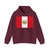 Color: Maroon | Position: front | Image: 1