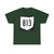 OH-813 1967 (Ohio) (Road Sign) T-Shirt
