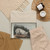 Bowen, John T. - Canis Lupus, Linn (Var Albus) - 1845 - T-Shirt