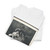 Loomis, Pascal - In Memoriam - ca. 1865 - T-Shirt