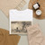 Bertha E. Jaques, born Covington, OH - A Sunny Corner - 1911 - T-Shirt