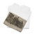 Donald Shaw MacLaughlan, born - Notre-Dame de Paris - 1900 - T-Shirt