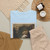 Helen Hyde, born Lima, NY 1868-died - In Mexico - 1913 - T-Shirt