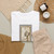 Federico Zuccaro, Italian, born San - Drawing - unknown - T-Shirt