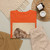 François Flameng, French, born Paris, - Saint Cloud-4 Juin 1906 - 1906 - T-Shirt