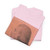 Charles Balthazar Julien Févret de - William Hill Wells - 1798 - T-Shirt