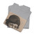 Samuel Johnson Woolf, 12 Feb 1880 - 3 - Frances Perkins - 1933 - T-Shirt