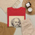 Jacques Reich, 10 Aug 1852 - 8 Jul 1923 - Nathaniel Hawthorne - c. 1899-1920 - T-Shirt