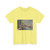 Color: Cornsilk | Position: other | Image: 3