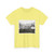 Color: Cornsilk | Position: other | Image: 3