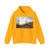 CLAUDE LORRAIN - Marine with the Trojans Burning their Boats (Artwork) Hoodie