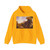 COLE, George - The Voyage of Life Youth (Artwork) Hoodie