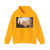 COLE, Thomas - The Architect's Dream (Artwork) Hoodie