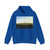 FRIEDRICH, Caspar David - Meadows near Greifswald (Artwork) Hoodie