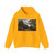 CONSTABLE, John - A Lane near Flatford (Artwork) Hoodie