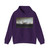 FRIEDRICH, Caspar David - The Abbey in the Oakwood (Artwork) Hoodie