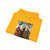 PERUGINO, Pietro -The Virgin and Child with Saints Jerome and Francis (Artwork) Hoodie