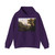 BIDAULD, Jean-Joseph-Xavier - View of the Isle of Sora (Artwork) Hoodie