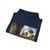FABRITIUS, Carel - View of the City of Delft (Artwork) Hoodie