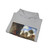 FABRITIUS, Carel - View of the City of Delft (Artwork) Hoodie