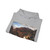 CHURCH, Frederic Edwin - The Heart of the Andes (Artwork) Hoodie