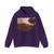 CLAUDE LORRAIN - Harbour Scene with Grieving Heliades (Artwork) Hoodie