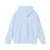 INGRES, Jean-Auguste-Dominique - Madame Leblanc (Artwork) Hoodie