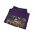 ROSSELLI, Cosimo - Crossing of the Red Sea (Artwork) Hoodie