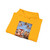 RAFFAELLO Sanzio - The Triumph of Galatea (Artwork) Hoodie